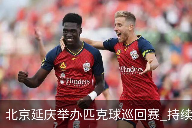 北京延庆举办匹克球巡回赛 持续擦亮户外运动城市名片
